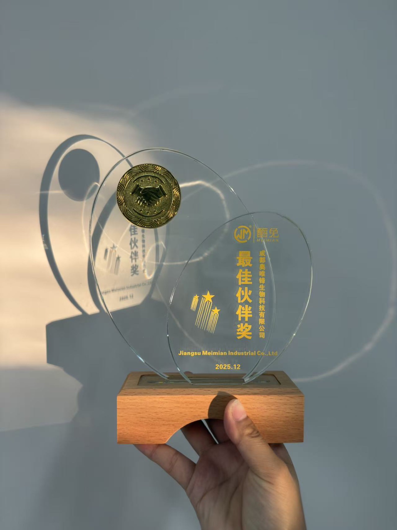 合作厂家授予奥唯锋的最佳伙伴奖杯